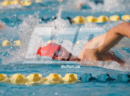 Thumbnail 3 in AIA D2 Swim Finals photogallery.