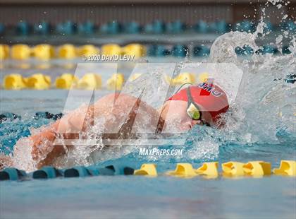 Thumbnail 1 in AIA D2 Swim Finals photogallery.