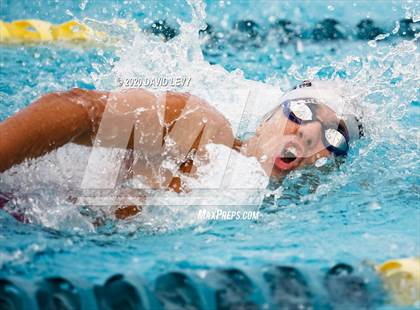 Thumbnail 1 in AIA D2 Swim Finals photogallery.