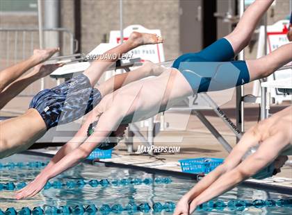 Thumbnail 2 in AIA D2 Swim Finals photogallery.