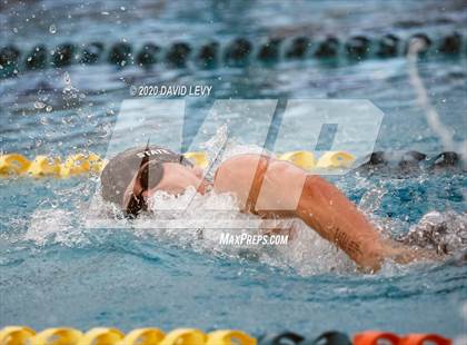 Thumbnail 3 in AIA D2 Swim Finals photogallery.