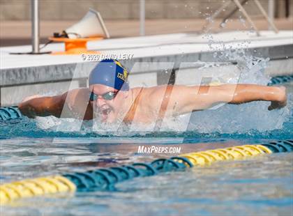 Thumbnail 3 in AIA D2 Swim Finals photogallery.