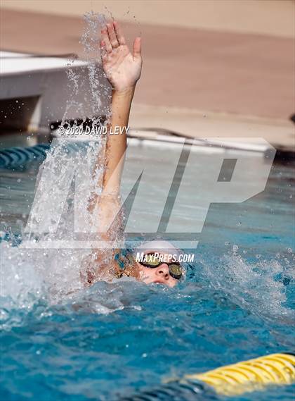 Thumbnail 2 in AIA D2 Swim Finals photogallery.