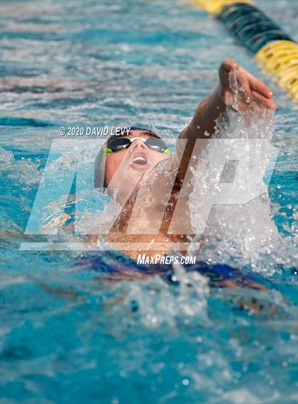 Thumbnail 3 in AIA D2 Swim Finals photogallery.