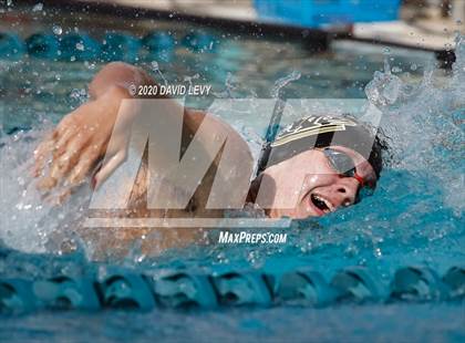 Thumbnail 2 in AIA D2 Swim Finals photogallery.