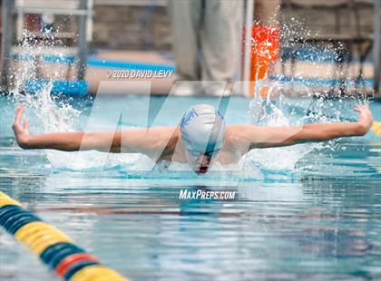 Thumbnail 2 in AIA D2 Swim Finals photogallery.