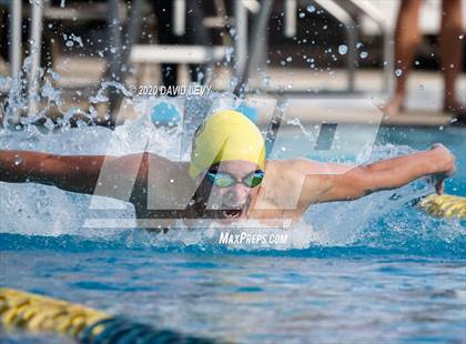 Thumbnail 1 in AIA D2 Swim Finals photogallery.