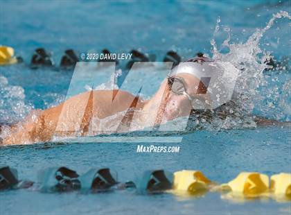 Thumbnail 1 in AIA D2 Swim Finals photogallery.