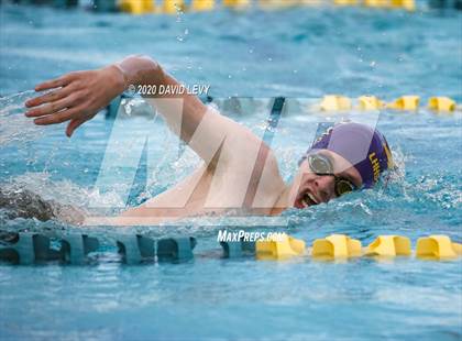 Thumbnail 3 in AIA D2 Swim Finals photogallery.