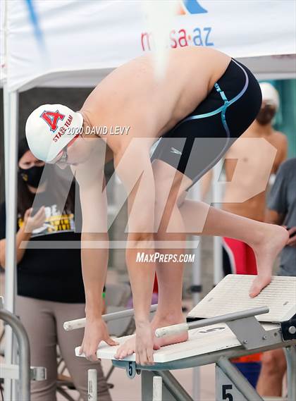 Thumbnail 1 in AIA D2 Swim Finals photogallery.