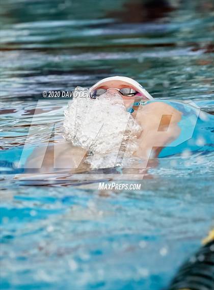 Thumbnail 2 in AIA D2 Swim Finals photogallery.