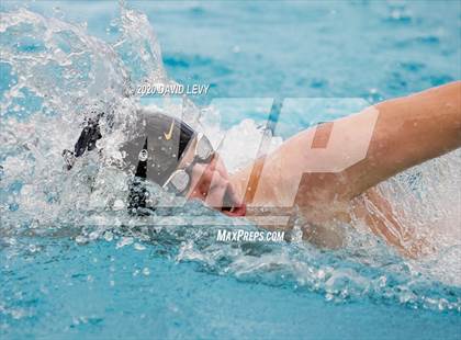 Thumbnail 2 in AIA D2 Swim Finals photogallery.