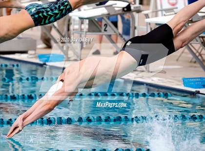 Thumbnail 2 in AIA D2 Swim Finals photogallery.