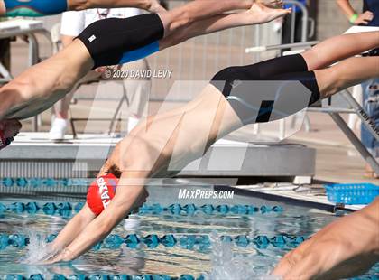 Thumbnail 2 in AIA D2 Swim Finals photogallery.