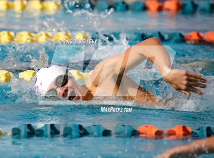 Thumbnail 2 in AIA D2 Swim Finals photogallery.