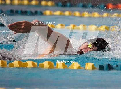 Thumbnail 3 in AIA D2 Swim Finals photogallery.