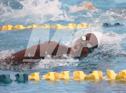Thumbnail 1 in AIA D2 Swim Finals photogallery.