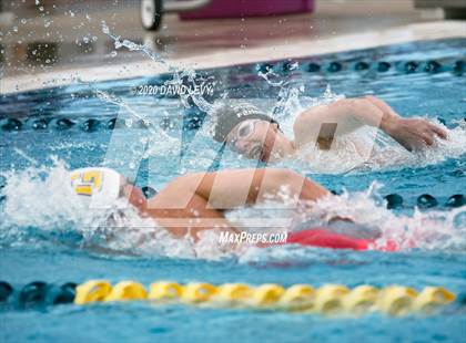 Thumbnail 1 in AIA D2 Swim Finals photogallery.