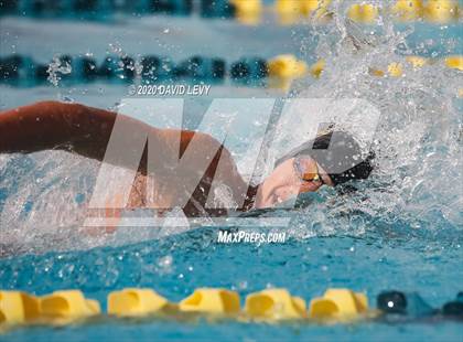 Thumbnail 1 in AIA D2 Swim Finals photogallery.