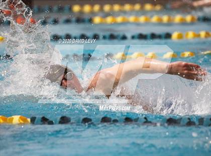 Thumbnail 1 in AIA D2 Swim Finals photogallery.