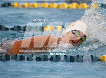 Thumbnail 2 in AIA D2 Swim Finals photogallery.