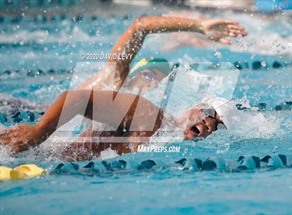Thumbnail 2 in AIA D2 Swim Finals photogallery.