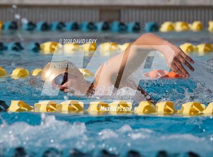 Thumbnail 2 in AIA D2 Swim Finals photogallery.