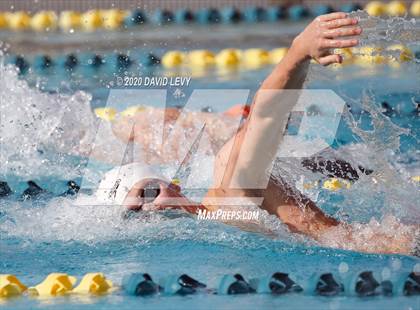 Thumbnail 1 in AIA D2 Swim Finals photogallery.