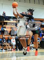 Photo from the gallery "J.H. Rose @ Havelock"