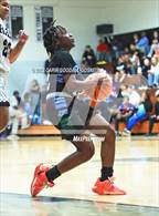 Photo from the gallery "J.H. Rose @ Havelock"