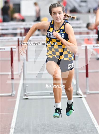 Thumbnail 2 in Red Devil Classic (60 Meter Hurdles)  photogallery.