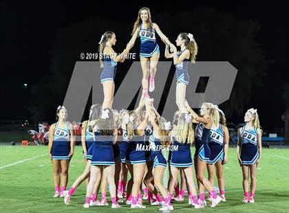 Thumbnail 3 in Carrollwood Day @ Out-of-Door Academy photogallery.