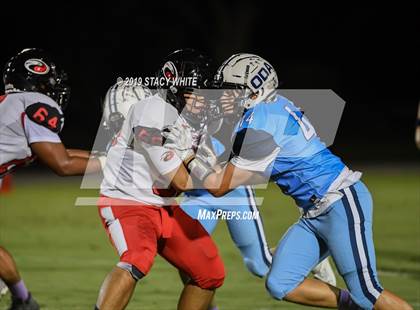 Thumbnail 1 in Carrollwood Day @ Out-of-Door Academy photogallery.