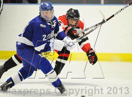 Thumbnail 3 in Darien @ Warde/Ludlowe photogallery.