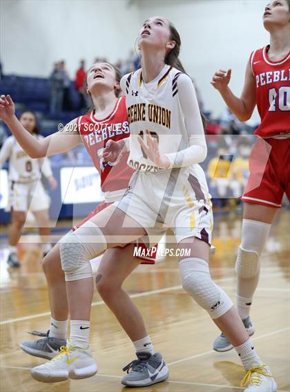 Thumbnail 1 in Peebles vs Berne Union (OHSAA D4 Regional Semifinal) photogallery.