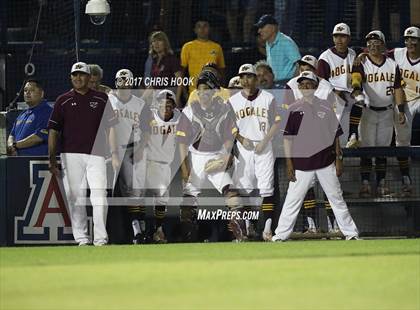 Thumbnail 1 in Nogales vs. Salpointe Catholic (AIA 4A Final) photogallery.