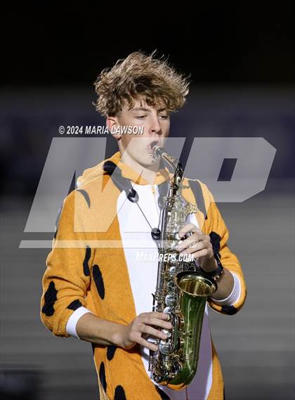Thumbnail 3 in Gar-Field @ Patriot photogallery.
