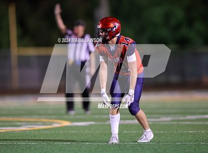 Thumbnail 3 in Gar-Field @ Patriot photogallery.