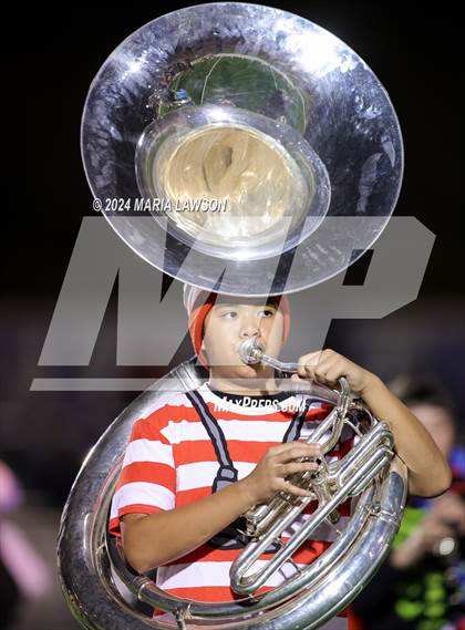 Thumbnail 3 in Gar-Field @ Patriot photogallery.