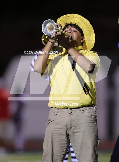 Thumbnail 3 in Gar-Field @ Patriot photogallery.