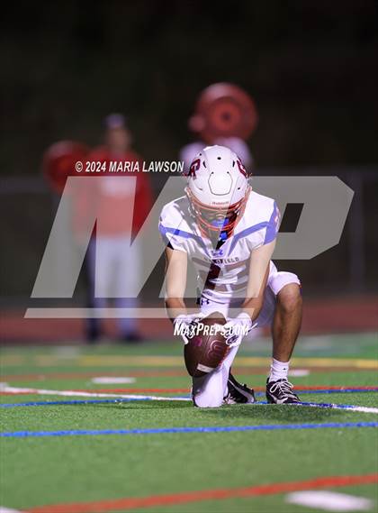 Thumbnail 3 in Gar-Field @ Patriot photogallery.