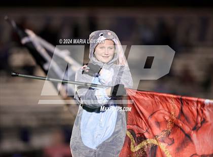 Thumbnail 3 in Gar-Field @ Patriot photogallery.