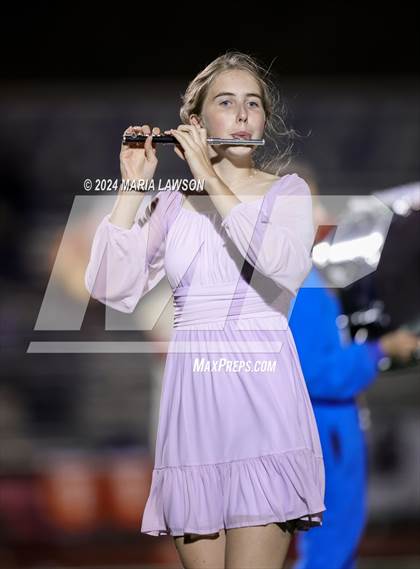 Thumbnail 2 in Gar-Field @ Patriot photogallery.