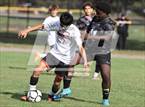 Photo from the gallery "Northstar Christian Academy @ Bishop Kearney"