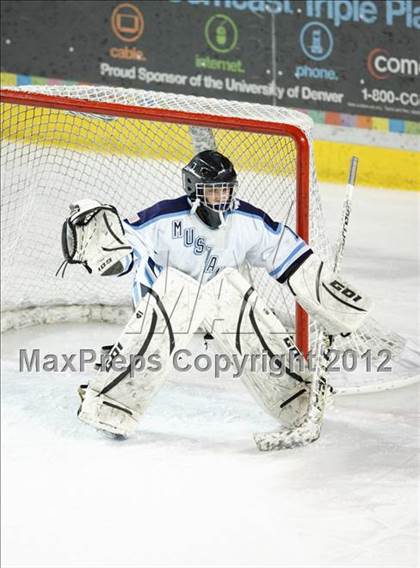 Thumbnail 3 in Ralston Valley vs. Regis Jesuit (CHSAA State D1 Final) photogallery.