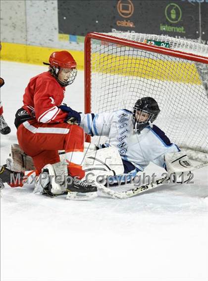Thumbnail 3 in Ralston Valley vs. Regis Jesuit (CHSAA State D1 Final) photogallery.