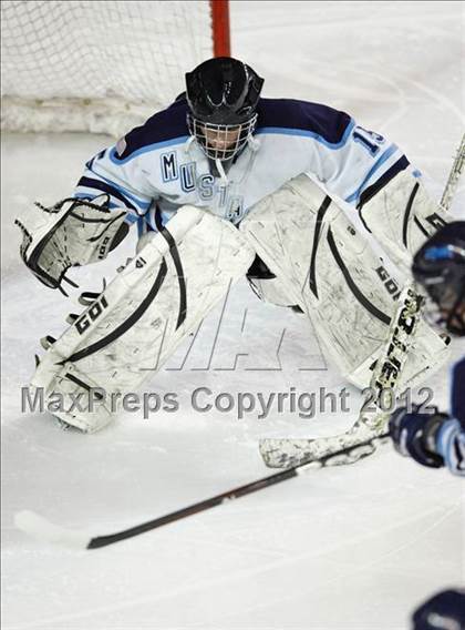 Thumbnail 2 in Ralston Valley vs. Regis Jesuit (CHSAA State D1 Final) photogallery.