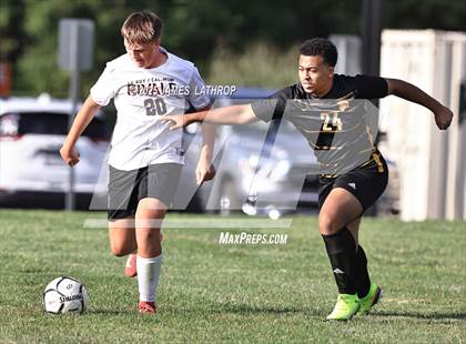 Thumbnail 1 in Caledonia-Mumford @ Greece Athena photogallery.