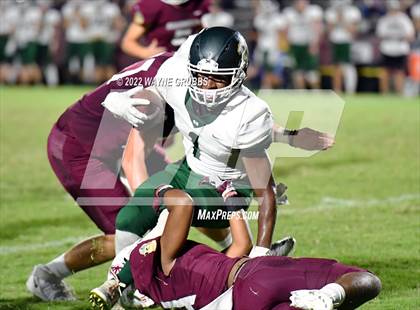 Thumbnail 2 in Harleton @ White Oak photogallery.