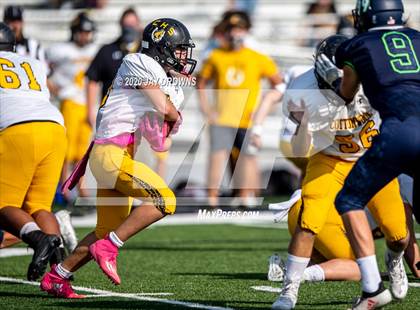 Thumbnail 1 in Cottonwood @ Timpanogos photogallery.